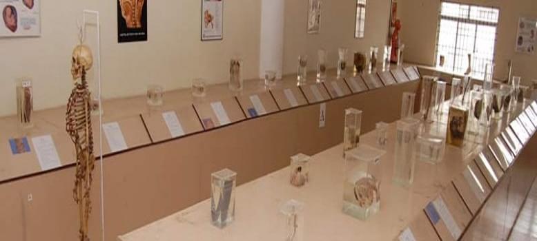 Karpaga Vinayaga Institute of Medical Sciences and Research Center Chengalpattu Labs photo 1